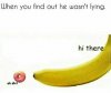 3631288102224060a719927a7fbfc452--trending-memes-bananas.jpg