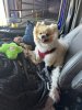 IMG_1160.jpeg