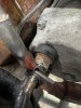 IMG_0167.jpeg