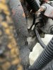 IMG_0166.jpeg