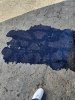 20231207_095825.jpg