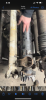 E9C3EF0C-EDEF-4B71-8B0E-71CD65010706.png