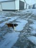 IMG_4529.jpeg