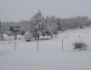 Polish_20240217_122013884.jpg