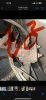 IMG_4440.jpeg