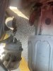 IMG_3595.jpeg