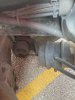 IMG_3596.jpeg