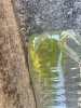 IMG_7031.jpeg