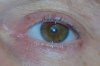 l eye.jpg