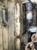 IMG_4178.jpeg