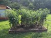 PXL_20250616_130610099.jpg