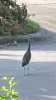 IMG_0778.jpeg