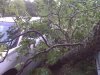 IMG00053.jpg