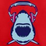 radioshark