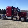 sunsation288
