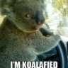 Mattkelo