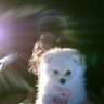 mizz_b_havin