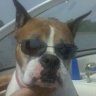 Barbee's Girl