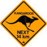 TheAussieGuy