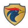 RFTOwner21