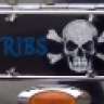 RIBS