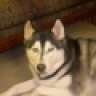 GRAYMATTERS