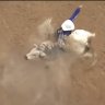 Bullrider76