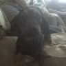 unhappyotr