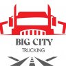 bigcitytrucking312