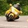 yellow wolf