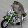 J_FROG