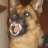 MadDog1086