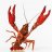 KW Cajun