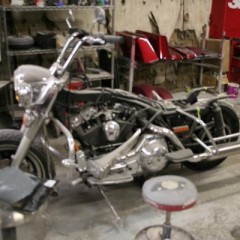 Harley