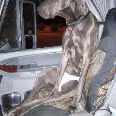 That's my little dog grace.