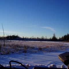 Alberta winter