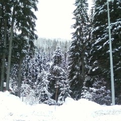 Lookout mtn montana   the top 2 weeks ago