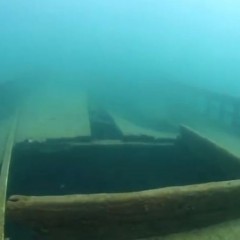 dive71