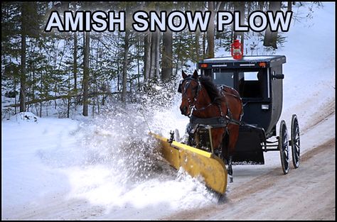 Snow plow hit my friend | Page 5 | TruckersReport.com Trucking Forum ...