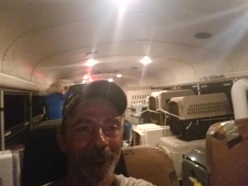 Trucker Rescues Busloads Of Animals From Hurricane Florence Flooding