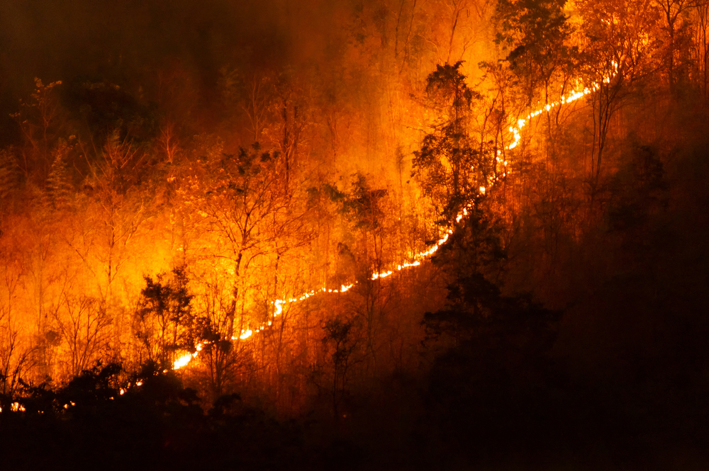 Wildfires And Hurricanes Force Closures And HOS Suspensions