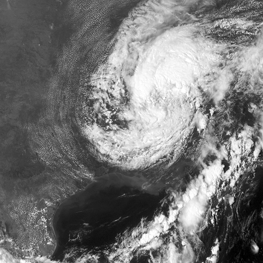 What Hurricane Harvey Will Mean For Trucking