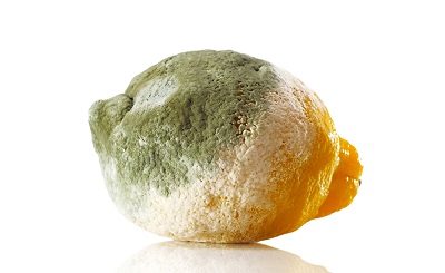 When Life Gives You Lemons: Will California’s Lemon Law Cover Trucks Too?