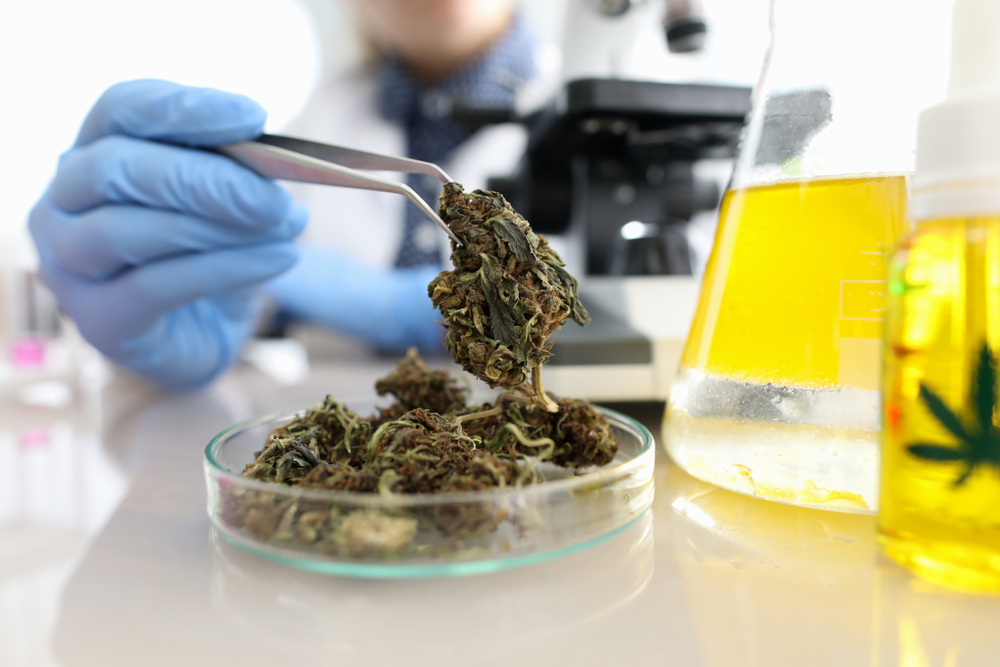 Could Reclassifying Marijuana Prevent Clearinghouse Testing & Reporting?