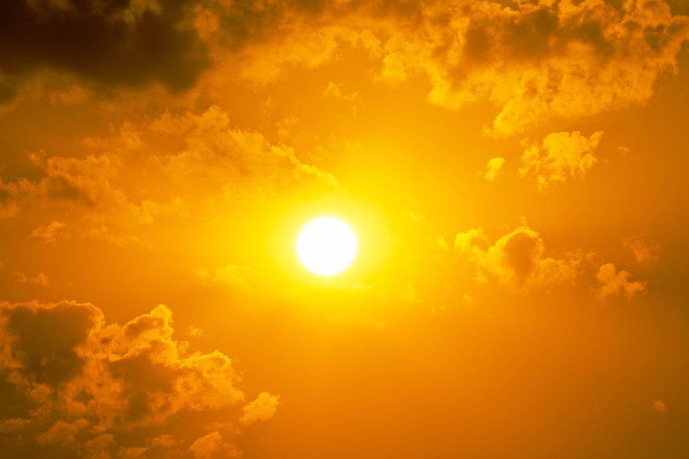 Combatting Summer Road Rage: Safety Tips for Truck Drivers