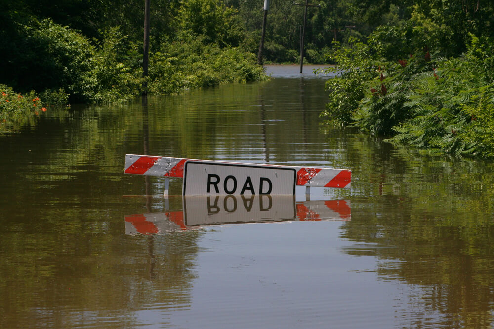 Week and Weekend of August 4th: Flood Warning for the South