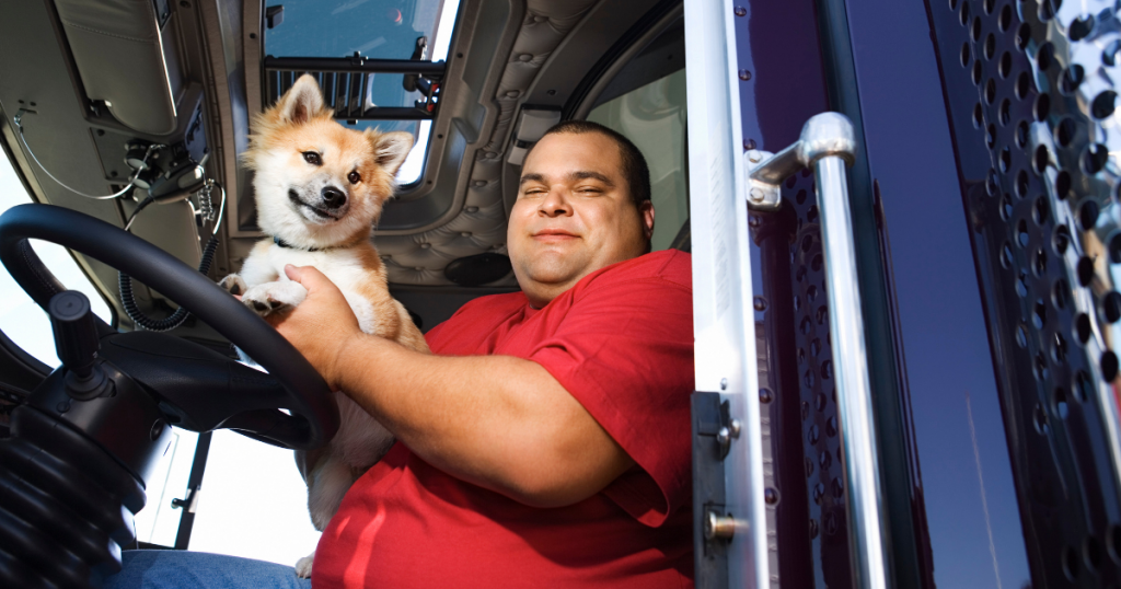 What Truckers Need to Know About Traveling with Pets